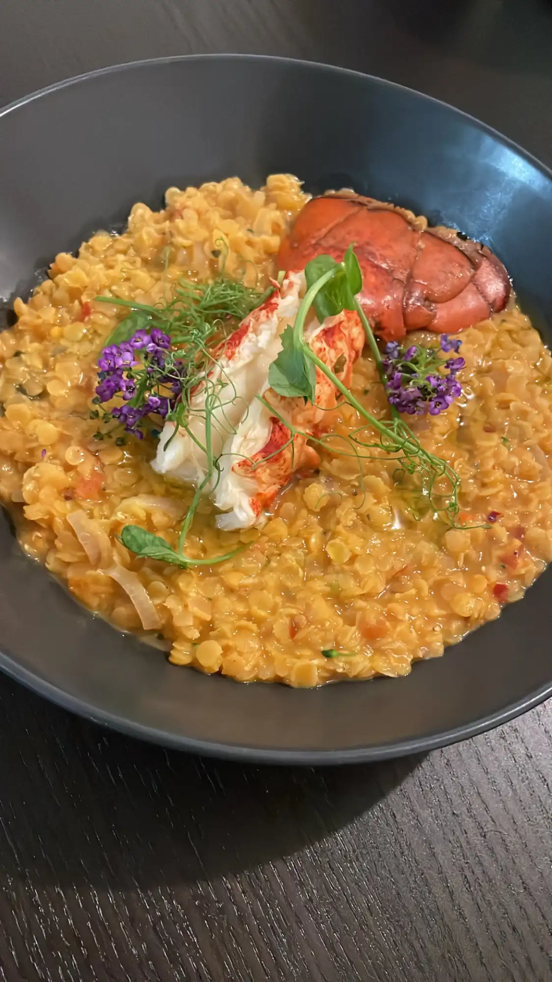 dish